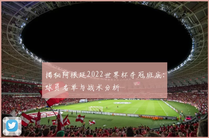 揭秘阿根廷2022世界杯夺冠班底:球员名单与战术分析