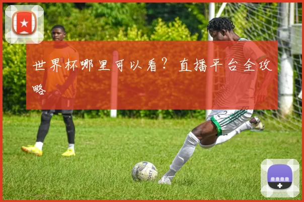 世界杯哪里可以看？直播平台全攻略