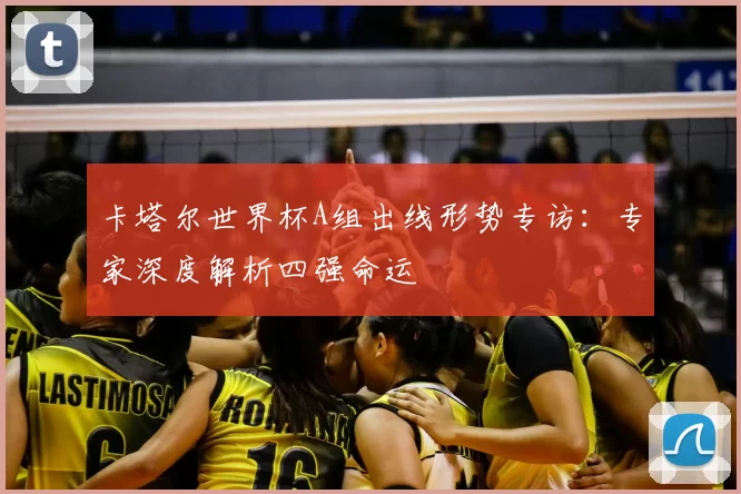 卡塔尔世界杯A组出线形势专访：专家深度解析四强命运