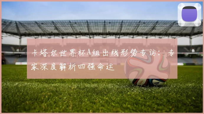 卡塔尔世界杯A组出线形势专访：专家深度解析四强命运