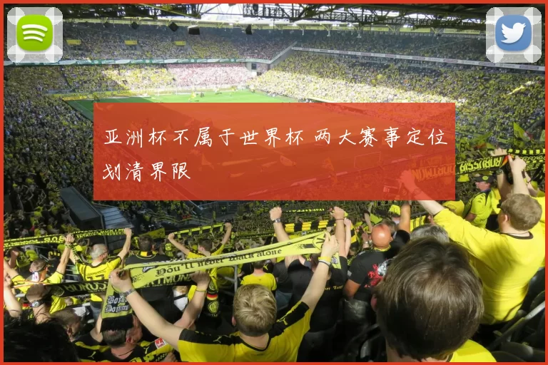 亚洲杯不属于世界杯 两大赛事定位划清界限