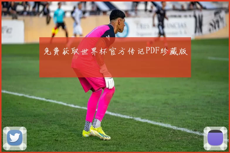 免费获取世界杯官方传记PDF珍藏版