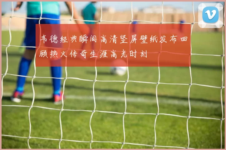 韦德经典瞬间高清竖屏壁纸发布回顾热火传奇生涯高光时刻