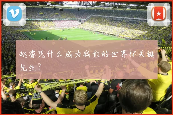 赵睿凭什么成为我们的世界杯关键先生？