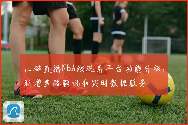 山猫直播NBA线观看平台功能升级,新增多路解说和实时数据服务