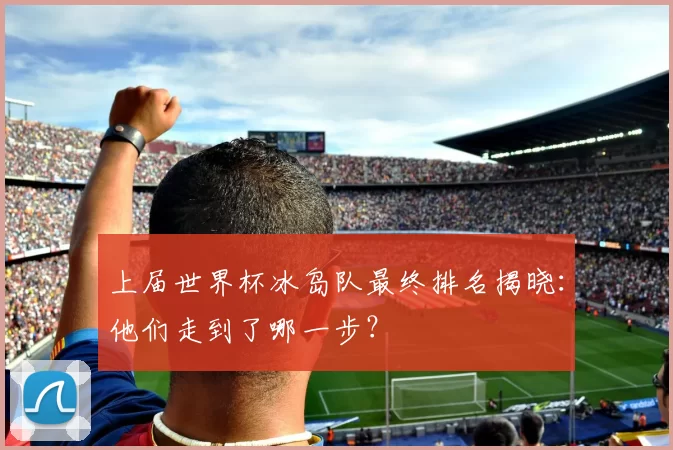 上届世界杯冰岛队最终排名揭晓：他们走到了哪一步？