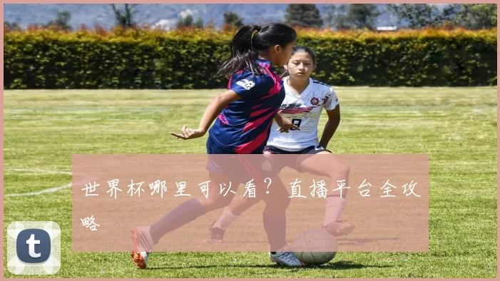 世界杯哪里可以看？直播平台全攻略