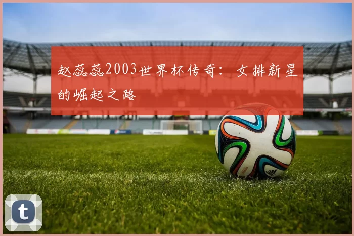 赵蕊蕊2003世界杯传奇：女排新星的崛起之路